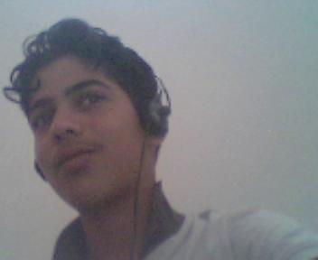 bhal dima ok