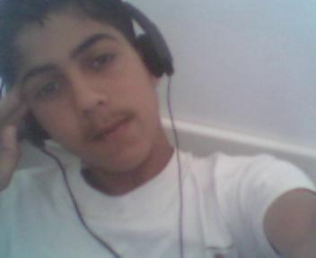 dima stoun