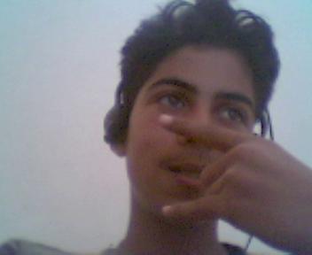 ana dima steel