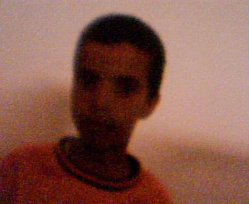 hoia