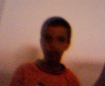 hoiz doyda